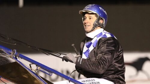 Brad-Williamson-blog-image-Majestic-man_