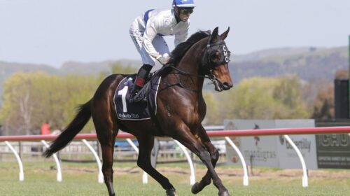 Catalyst-HB-5.10.19-TD-scaled-1-500x280.