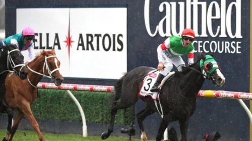 Caulfield_Cup_4-3_17381879_1974401_20191