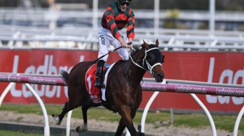 Caulfield_Guineas_4-3_14954708_1898490_2