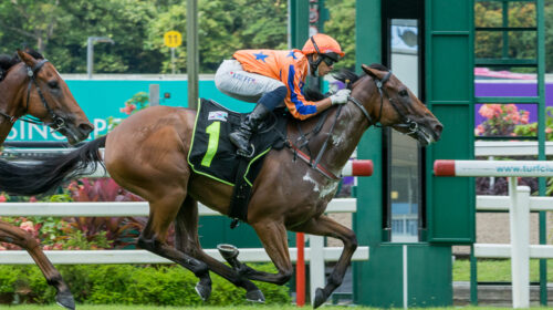 Charminton-Singapore-Turf-Club-File-Pic-