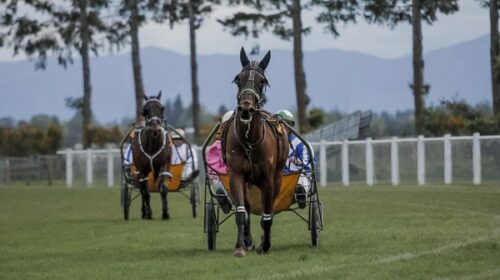 Dual-Sulky-Methven-blog__ResizedImageWzY