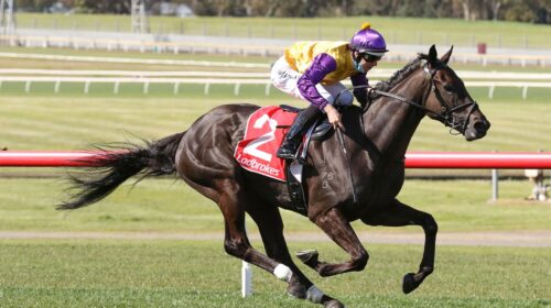 ElephantSandown-StakesGroup-3_25-09-2021