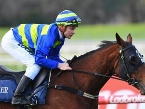 Jameka plans still to be determined