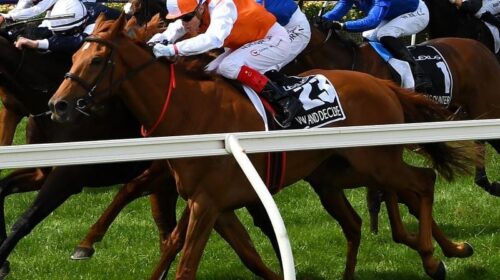 Gallops_Vow_4-3_18189780_1996459_2020022