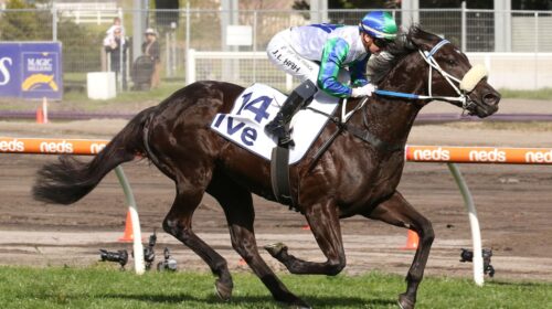 I-Wish-I-Win_27-08-2022_WIN_Caulfield_4_