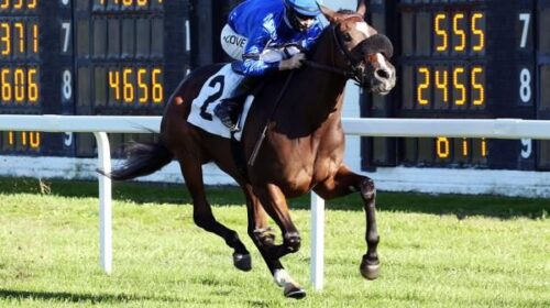 Javanica02.9-18-20.CO_-e1660428205733-50