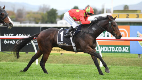 KICK-ON-HB-6-6-2022-RACE-IMAGES-PHOTO-50