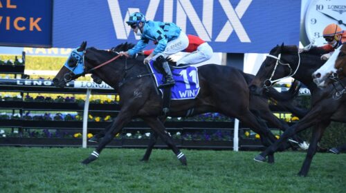 Mounga-Winx-Stakes-1024x683-1-500x280.jp