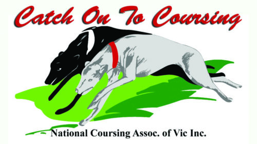 NCA_LogoHigh_Res-2-1024x559-1-500x280.jp