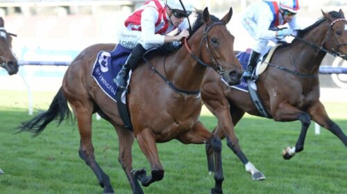 Passive-Aggressive-1024x683-1-500x280.jp