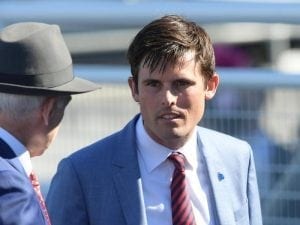 Godolphin unveils import in Chelmsford