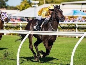 Factors favour Glitra at Caloundra