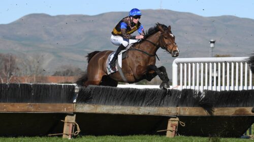 THE-COSSACK-HAWKES-BAY-2-7-2022-PHOTO-RA