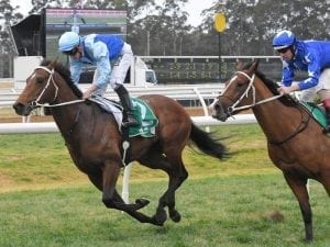 Tarka on Derby mission after Farm victory