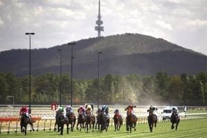 Horse racing in Canberra