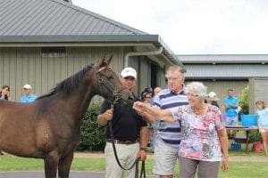 Sophie's Choice and Sir Colin Mead