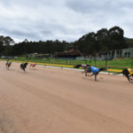 Race 1