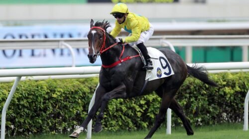 1_20220911-ST-R4-JCX33576o-scaled-1-500x