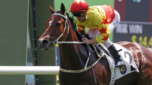 1_20220925-ST-R3-JCX33141j-scaled-1-500x