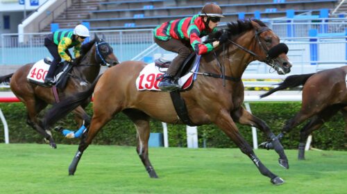 1_20220927-B1-RUSSIAN-EMPEROR-0E8A9667sk