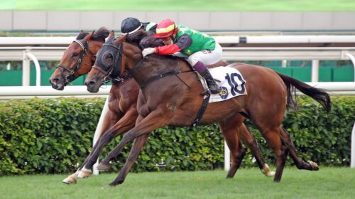 20220522-ST-R9-A90I4410sk-scaled-1-500x2