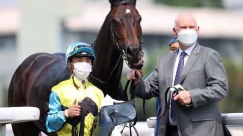 20220918-ST-R3-JCX39805o-scaled-1-500x28