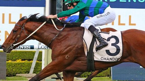 29017e7219c24c48bfb88b8226938577-500x280