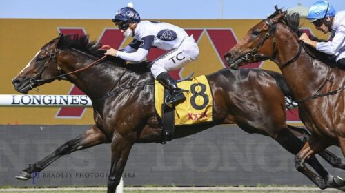 2ThelongstridingOverpassTimClarkwinstheG