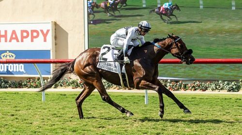 485e422d251147af8750af2b715657b1-500x280