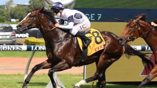 9ed357a3681161b03012c9190a38cf8e-500x280