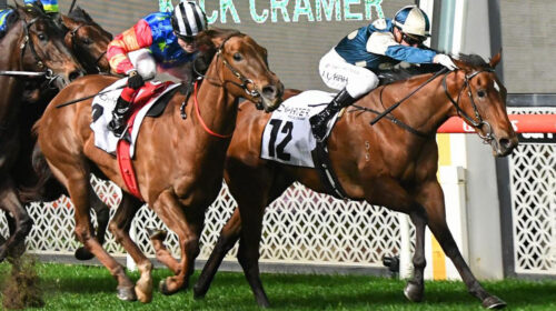 Coolangatta-Wins-Moir-Stakes-500x280.jpe