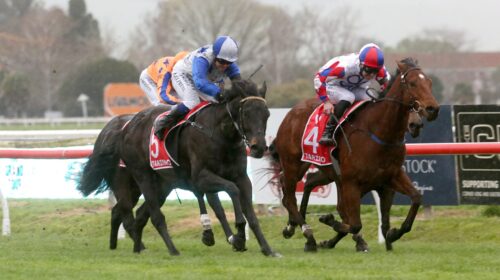 Dark-Destroyer-a-2869-scaled-1-500x280.j