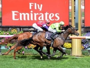 Royal Symphony out to remain unbeaten