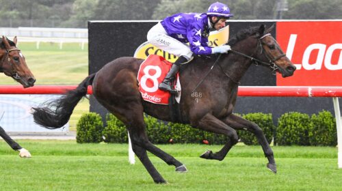 Japanese-Emperor-Sandown-24.8.22-Pat-Sca