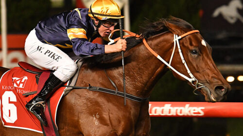 Melbourne-2021_Masked-Crusader-close-MV-