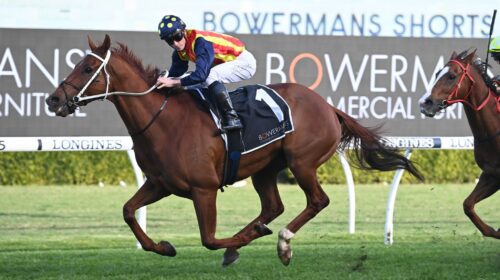 Nature-Strip-The-Shorts-scaled-1-500x280