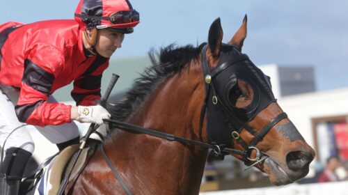 New-Arrangement-p-9248-scaled-1-500x280.