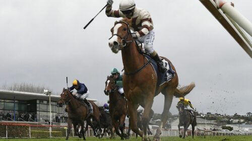 SHEEZ-DOMINANT-WANGANUI-3-9-2022-RACE-IM