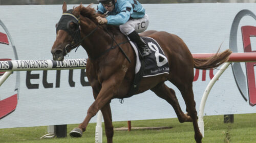 Sydney-2020_Ellsberg-Rhill-051220-500x28