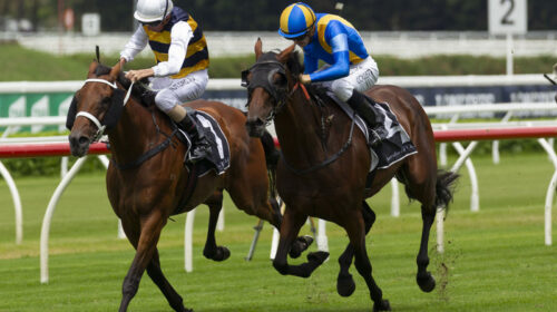 Sydney-2020_Shes-Ideel-Rwick-150220-500x