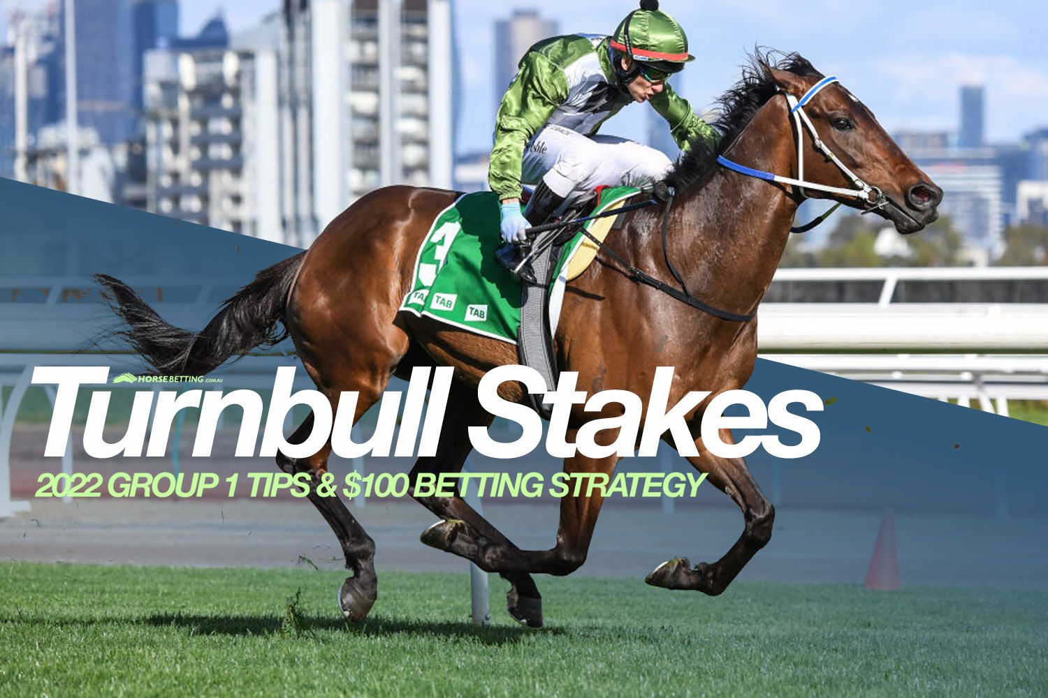 2022 Turnbull Stakes tips