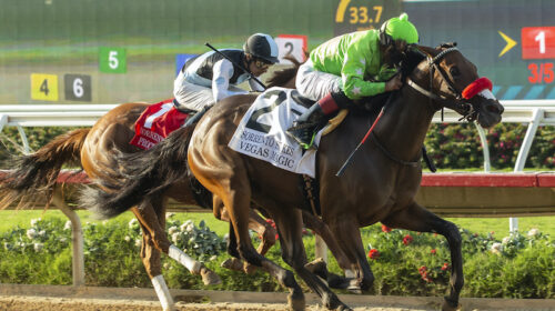 Vegas-Magic_2022-Sorrento-Stakes-500x280