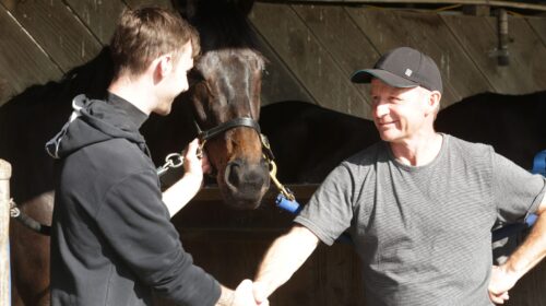 Wolfgang-Mckay-S-P-501-scaled-1-500x280.