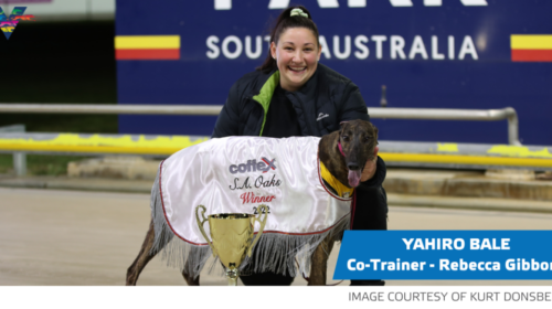 Yahiro-Bale-with-Rebecca-Gibbons-1024x53