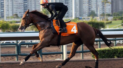 20210422-ST-MIGHTY-GIANT-A50V4181J-scale