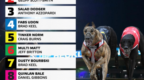 2022-Geelong-Derby-Final-box-draw-1024x1