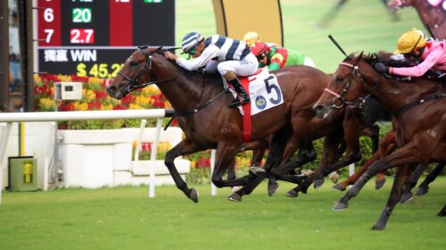 20221012_Pic1Panfield-scaled-1-500x280.j