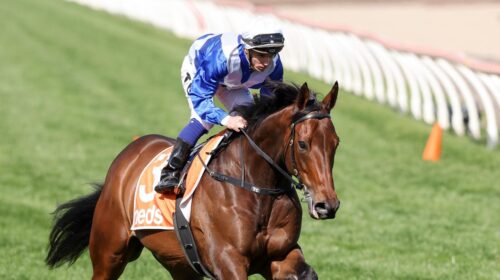 8cf7479b8067064b3a9f239a0ec1ece1-500x280