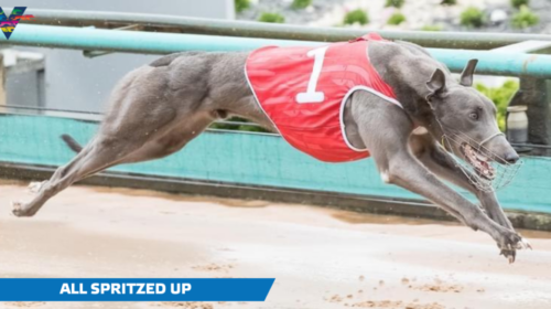 All-Spritzed-Up-1024x536-1-500x280.png